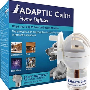 dap diffuser for dogs