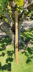 Bild 30 von 204