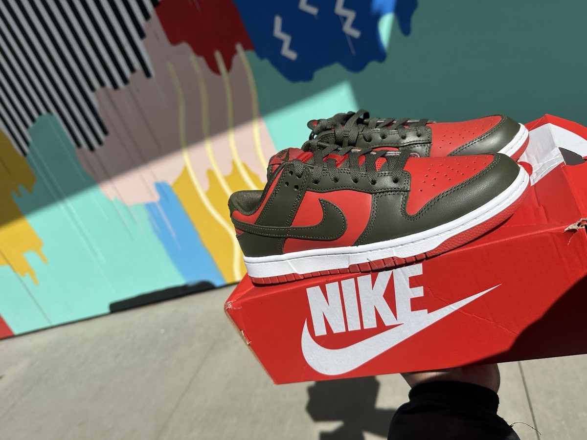 Size 9.5 - Nike Dunk Pro SB Low Freddy Krueger for sale