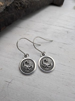Scorpio Zodiac Earrings / Celestrial Gifts