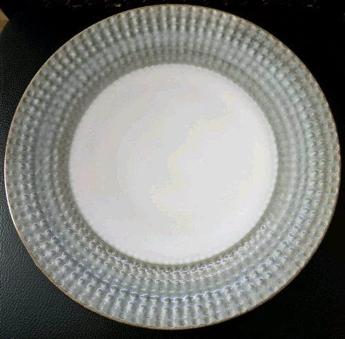 SET OF 2 PIER 1 ALLISON DINNER PLATES 11 5/8"