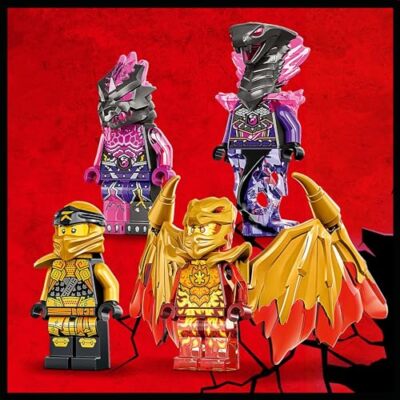 LEGO NINJAGO 71769 Cole's Dragon Cruiser 5702017152011 | eBay UK