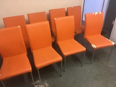 Dining Chairs X 8 Dining Chairs Gumtree Australia Brisbane South West Tarragindi 1268419047