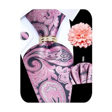 5PCS Mens Silk Designer Tie, Pocket Square, Pink Paisley Tie Set -335 5