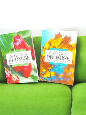 God s Daily Promise   Summer & Fall Editions Devotional Journals