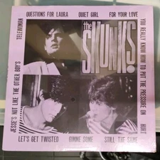 THE SKUNKS The Skunks LP 1982 TEXAS PUNK Powerpop TERMINAL MIND Big Boys⭐SEALED⭐