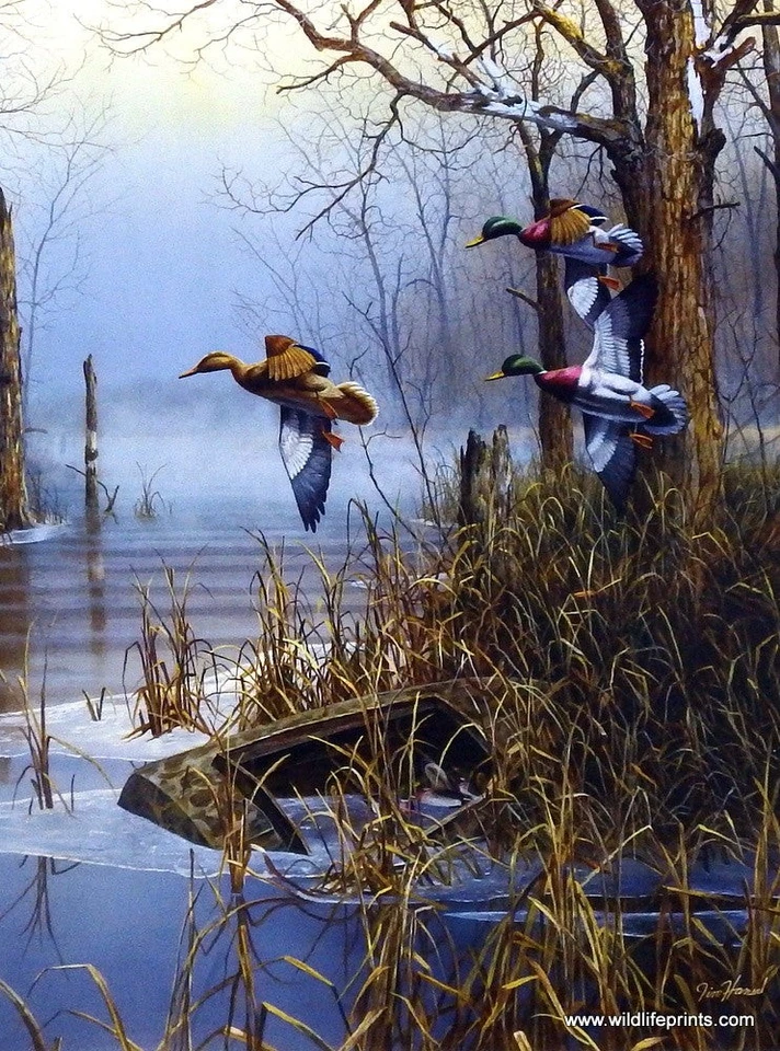 WILDLIFE PRINTS After the Thaw By Jim Hansel Duck Hunting Print Image Size 12" x 16"