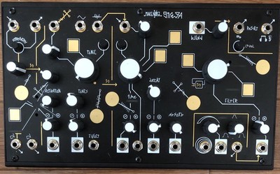 MAKE Noise Strega Synthesizer | eBay 