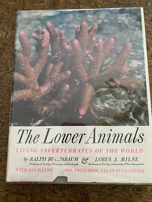 The Lower Animals Living Invertebrates Illustrated 1967 HC