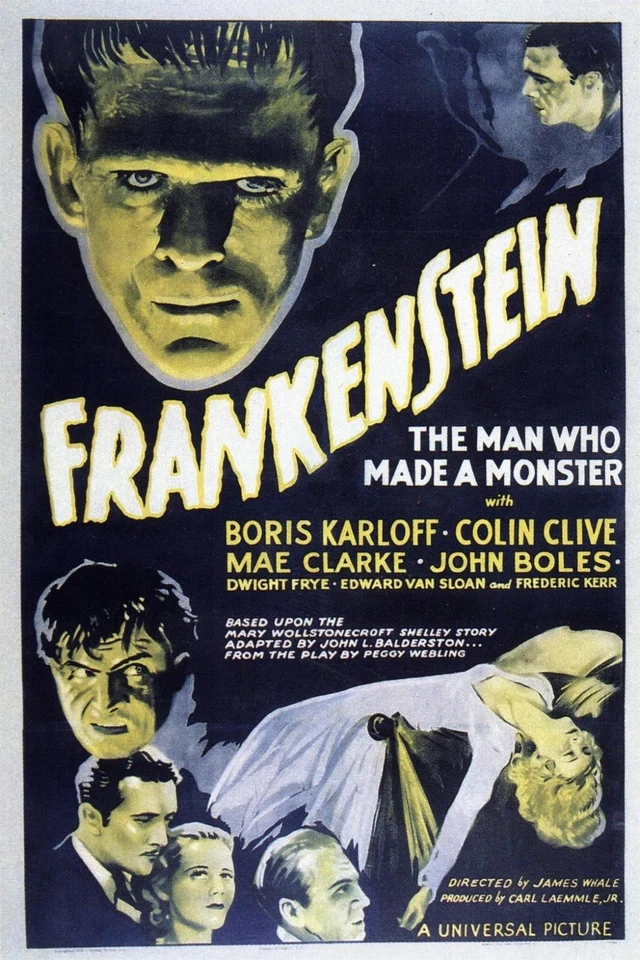 FRANKENSTEIN (1931) Movie Poster Horror
