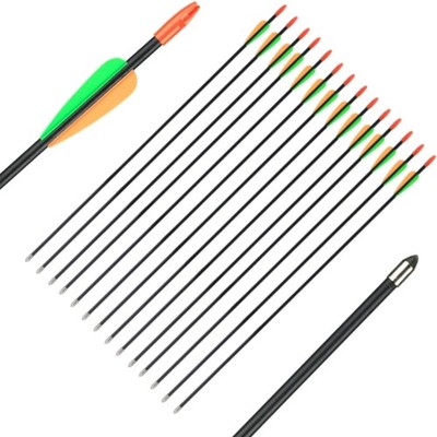 Hochwertige Fiberglaspfeile für Bogenschießen, 12 Stück, 28/26 Zoll, Anfänger