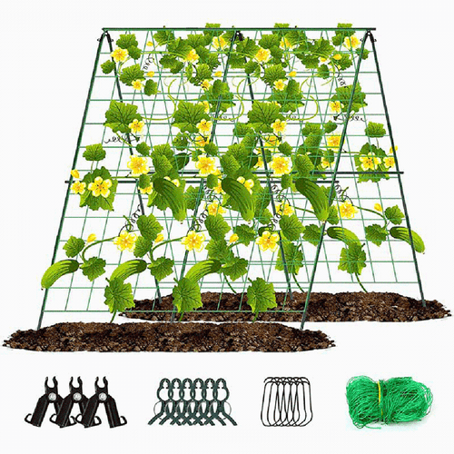 Green Beans and Cucumbers Trellis 48 x 48 Inch Foldable A Frame Design - Picture 14 of 16