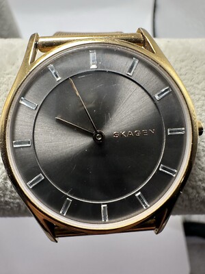 Skagen Holst SKW2378 Ladies Watch New Battery 34MM 7.5\