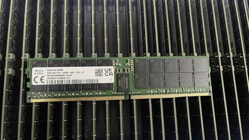 SKhynix EC8 RDIMM 64GB DDR5 ECC 4800MHz Server RAM 2R*4 PC5-4800B-RA0-1010-XT