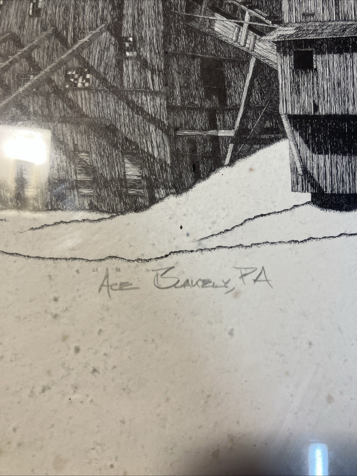 Picture 4 of 15