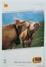 1991 Original Print Ad Full Page - Kodak Film Gold True Colors Vintage