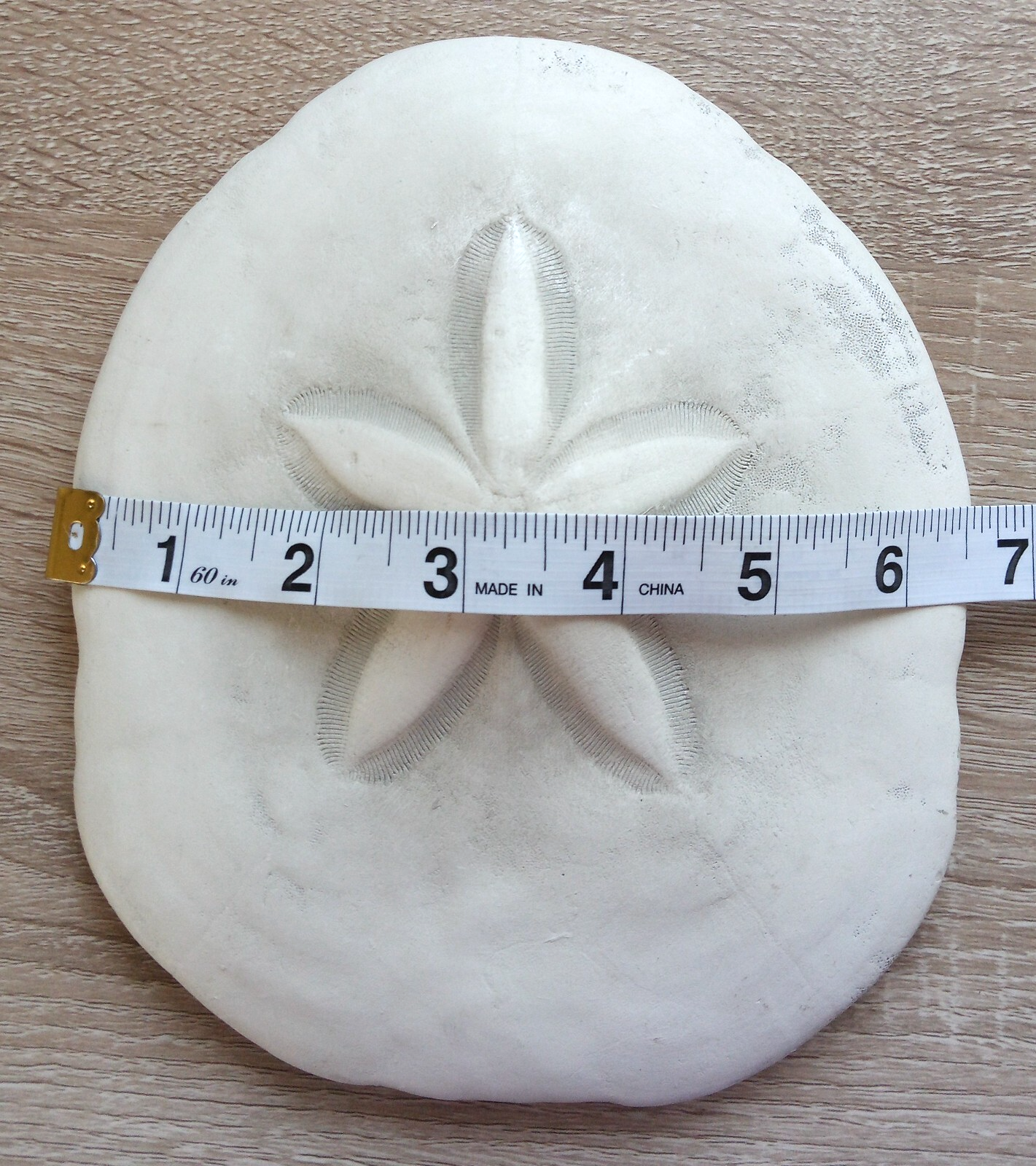 Picture 6 of 6