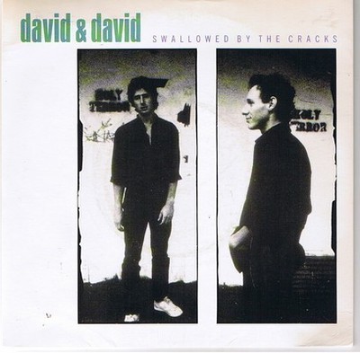 David  David - Swallowed By The Cracks - Used Vinyl Record 7 - F1460z