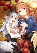 Spice and Wolf Ayakura Ju Art Works 2 Book Anime Manga Holo