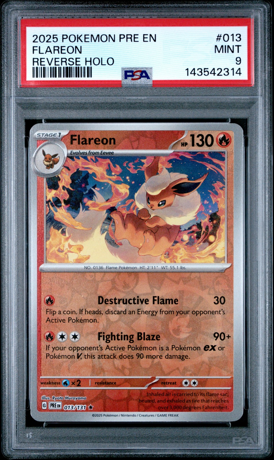 Flareon Reverse #13