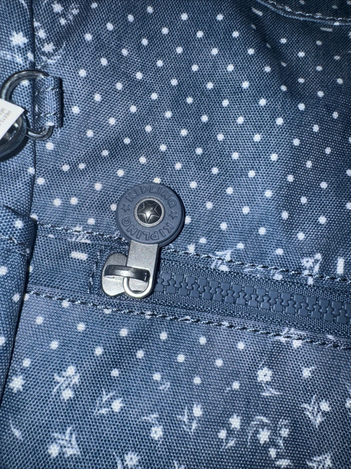 Picture 4 of 13