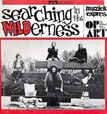 VARIOUS ARTIST - Searching In The Wilderness... Muzoek Expres Op Art Sound - CD