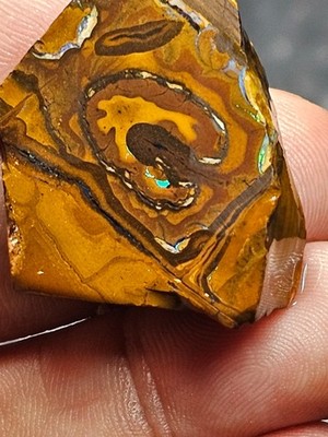 81.9cts Australian Boulder Rough opal  Gamble stone
