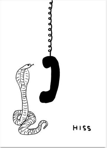 AUSVERKAUFT David Shrigley "Hiss, 2023" Gerahmtes Kunst Poster Ltd Ed. 350 lustige Geschenke