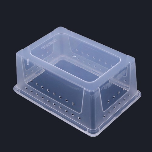 Habitat Boîtier d'alimentation pour tortues étui pour points de vente reptiles pour