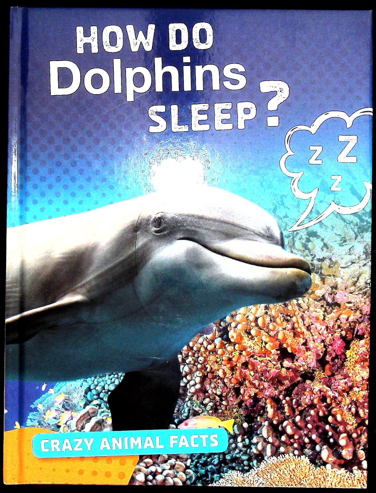 Why do Dolphins Sleep? Children's Book Learning Facts Education New Crazy Facts