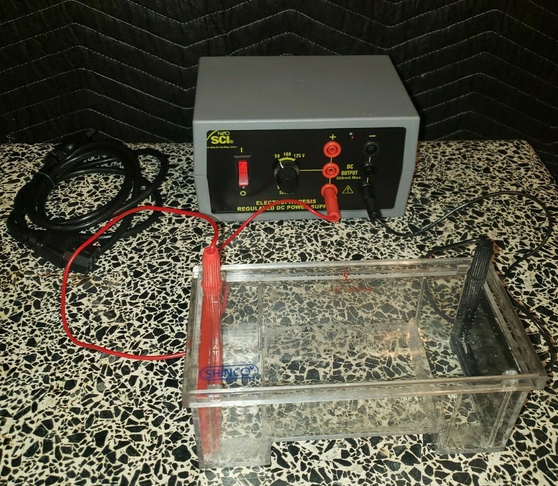 Neo Sci Double Gel Electrophoresis System w/ Tank, Leads, & Power