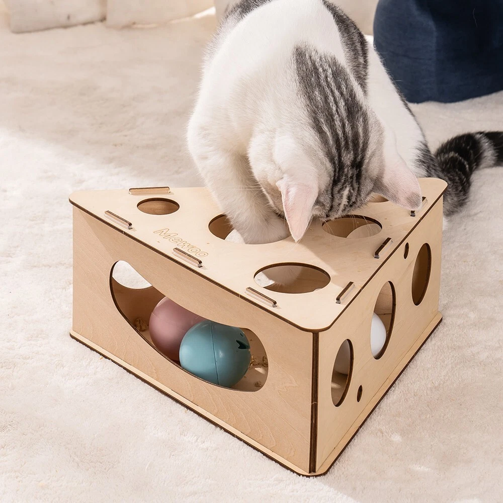 Cat feeder toy top