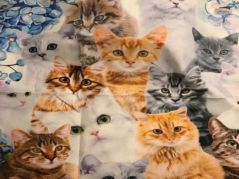SWEET Kitty Cat Full Size 3 Piece Sheet Set “New In Package”