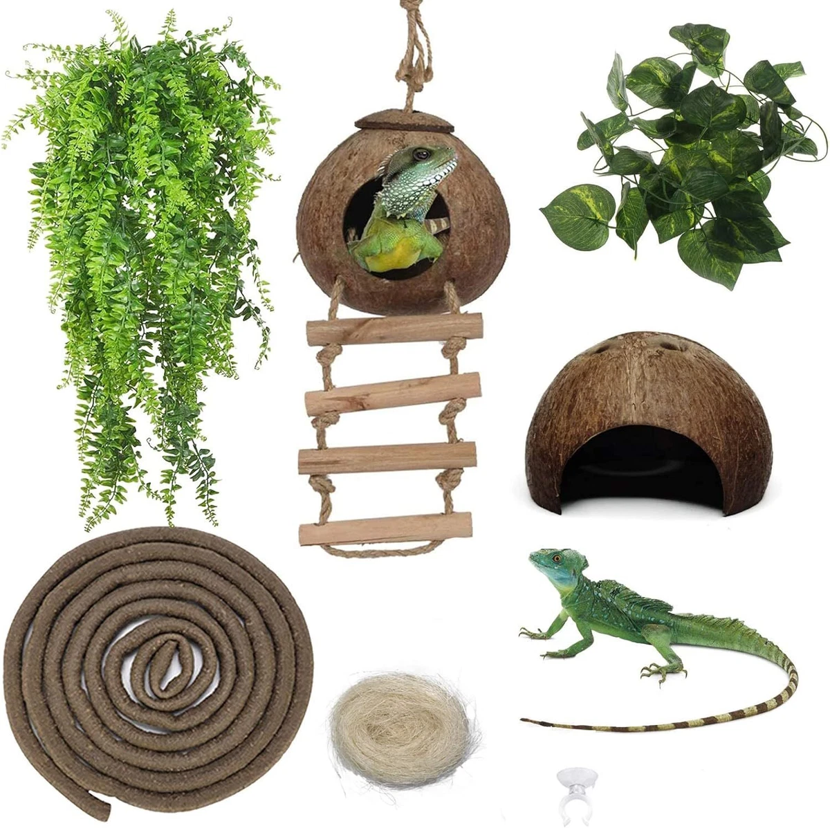 Leopard gecko hotsell cage decor