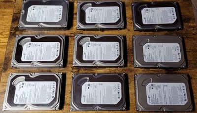 9 Seagate Barracuda 320 GB - 250 GB - 160 GB - 80 GB 3.5'' Interne Festplatten