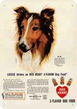 1947 Collie Dog LASSIE Loves Red Heart Dog Food *DECORATIVE REPLICA METAL SIGN*