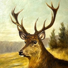 Wildlife Deer Oil Painting Signed Hunting Fine Art 