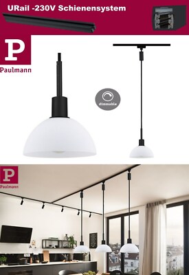 Paulmann URail Pendel Sarrasani Schwarz matt Opal max. 20W E14 ohne Leuchtmittel