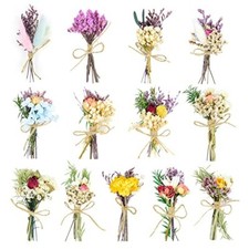 Dried Flowers - 13 PCS Mini Dried Flower Bouquet Natural Flowers Forget Me No...