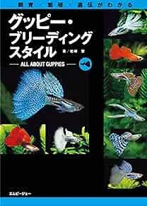Feeding guppies cheap