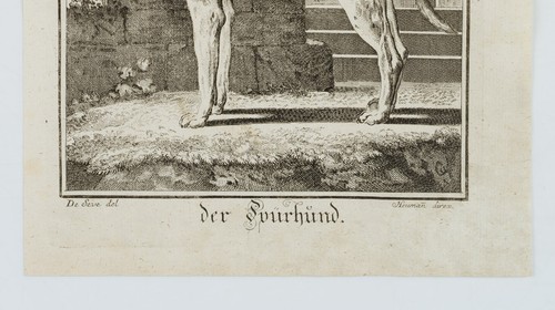 J. SÈVE (1742-1788), Der Spürhund, Kupferstich Realismus Tiere 1700-1749 - Bild 4 von 4