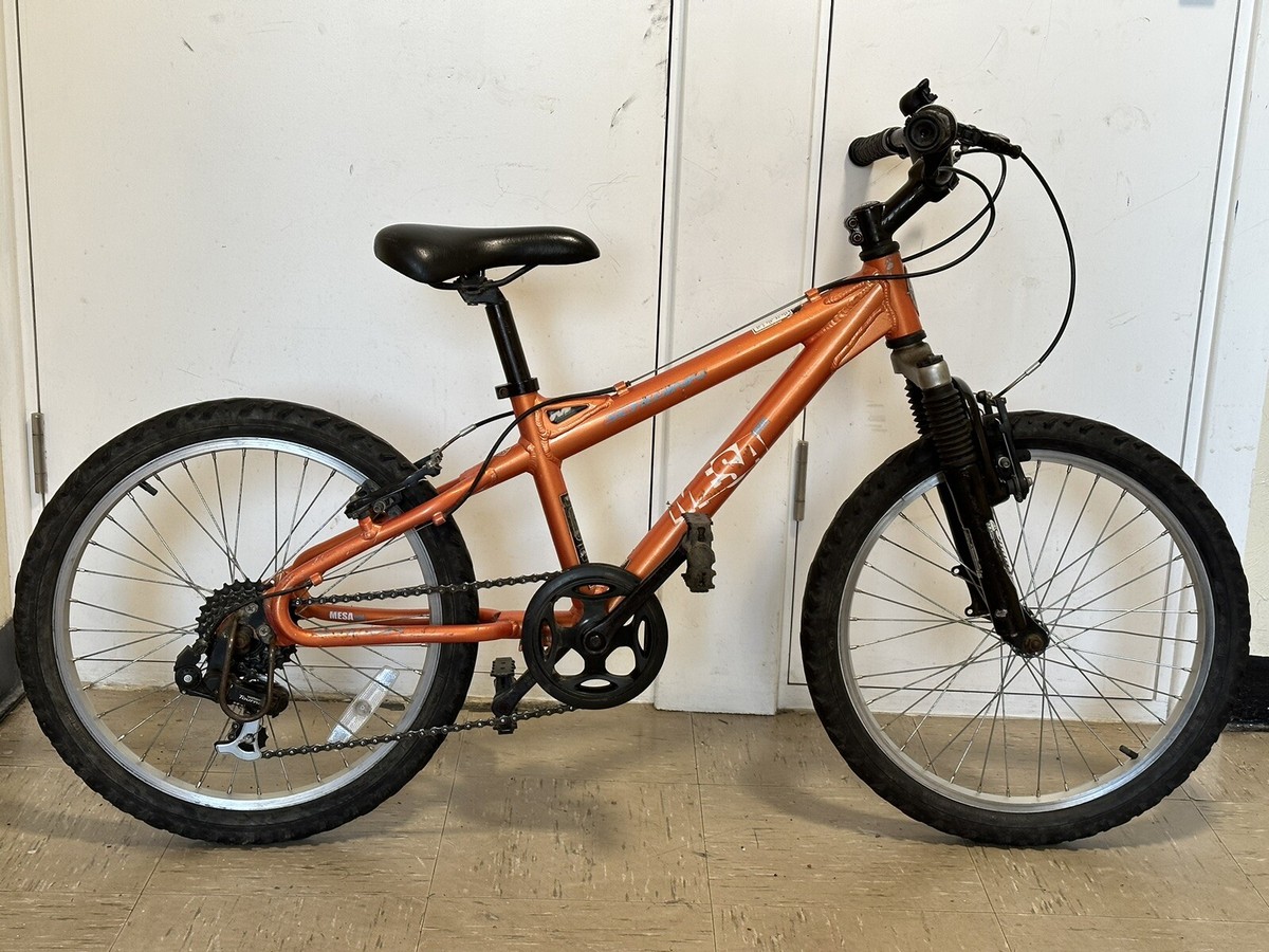 GIANT 「ジャイアント」 PACE 2014年モデル ロードバイク 3722022700002