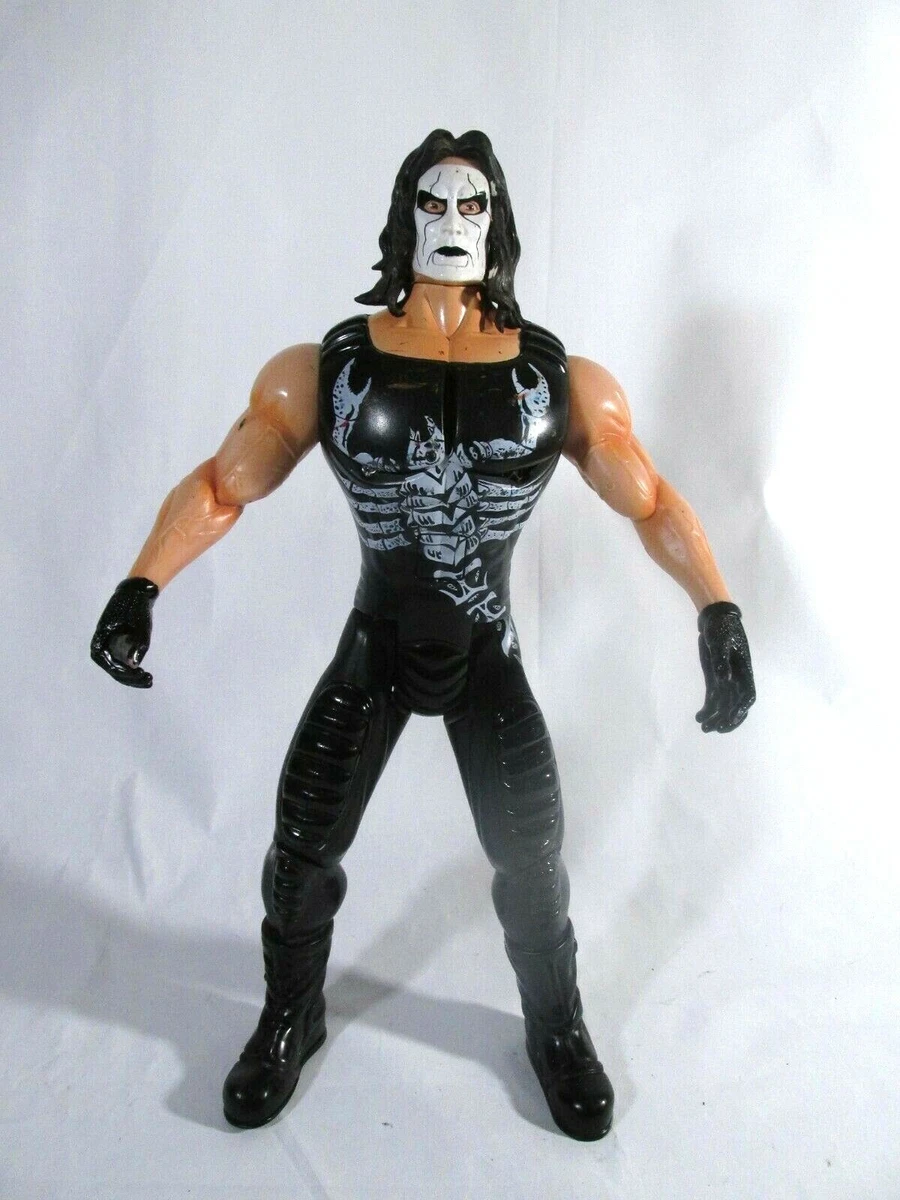 Large hotsell wrestling figures