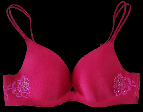 Victoria's Secret 2007 Angels Embrace Embroidered Roses Are Red Push-Up ...