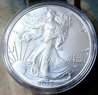 2025 American Eagle Silver Dollar - 1 ea - 1 oz - 999 Silver - BU - In Capsule