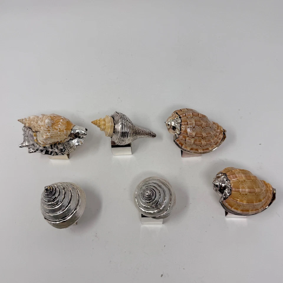 6 Seashell Napkin Rings Nautical Coastal Beach House Dining Decor - Image 2 of 4