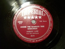 HARLEY LUSE SPANISH CIRCLE & UNDER THE BAMBOO TREE NARCISSUS IMPERIAL  78 REC