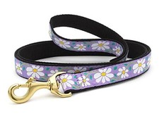 6FT Daisy Pattern Dog Leash Cute  Durable Lead for Small Breed Dogs