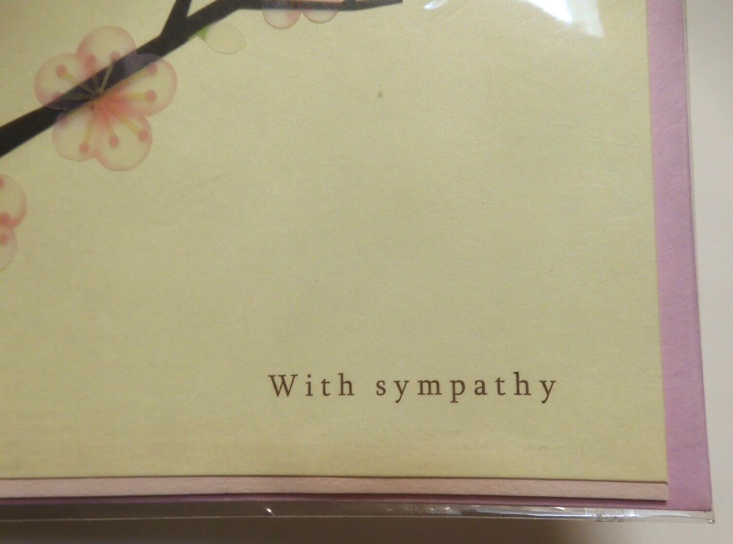 2 Papyrus Cards High Quality SYMPATHY Cherry Blossoms Thinking of You ...