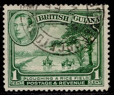 BRITISH GUIANA GVI SG308, 1c yellow-green, FINE USED. PERF 12½